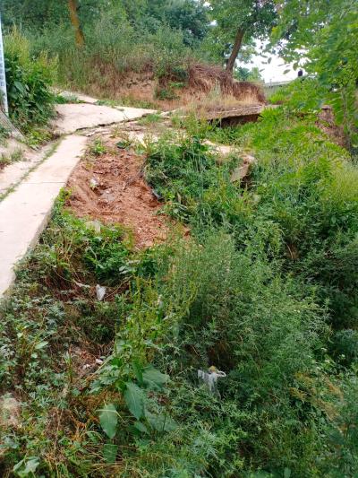 庞沟村道路 - 西和县委书记 - 陇南市 - 甘肃省 - 领导留言板 - 人民