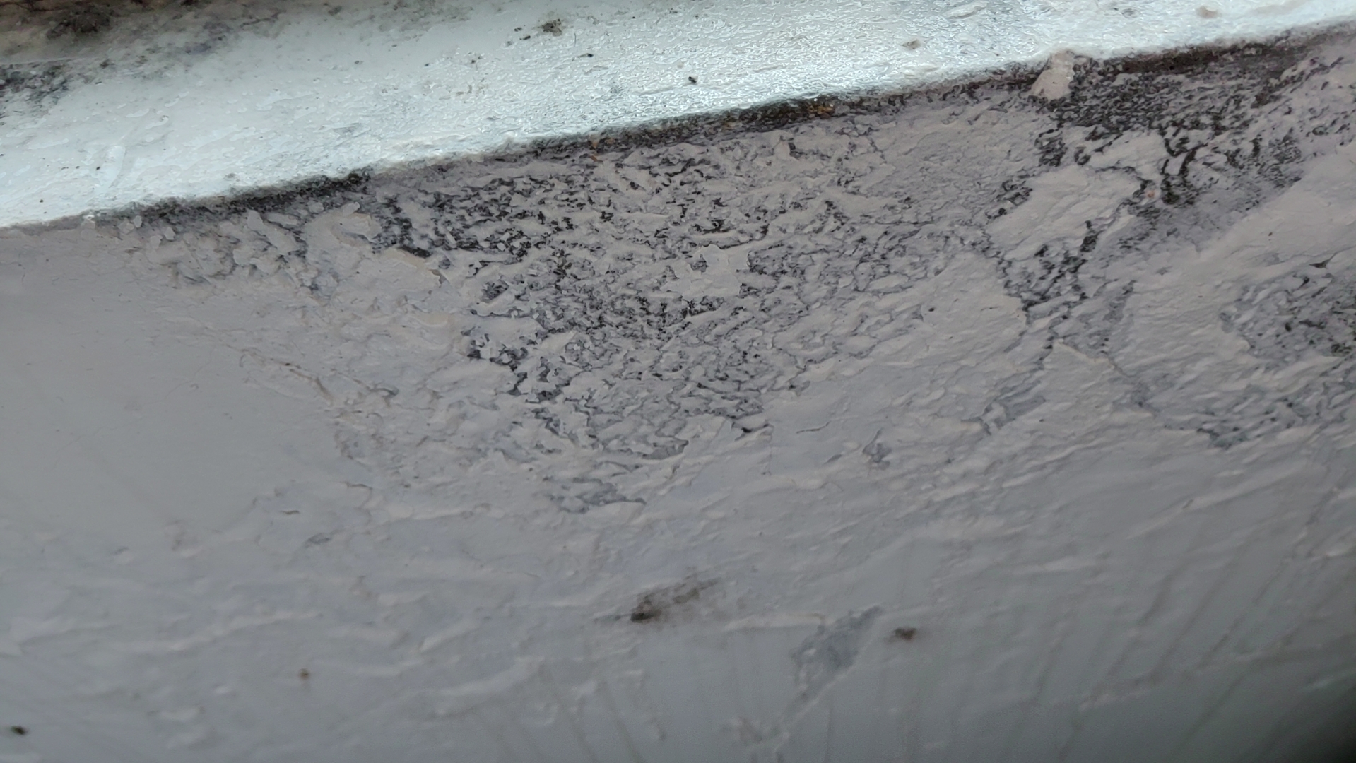 新疆维吾尔自治区乌鲁木齐市沙依巴克区委书记-领导留言板-人民网