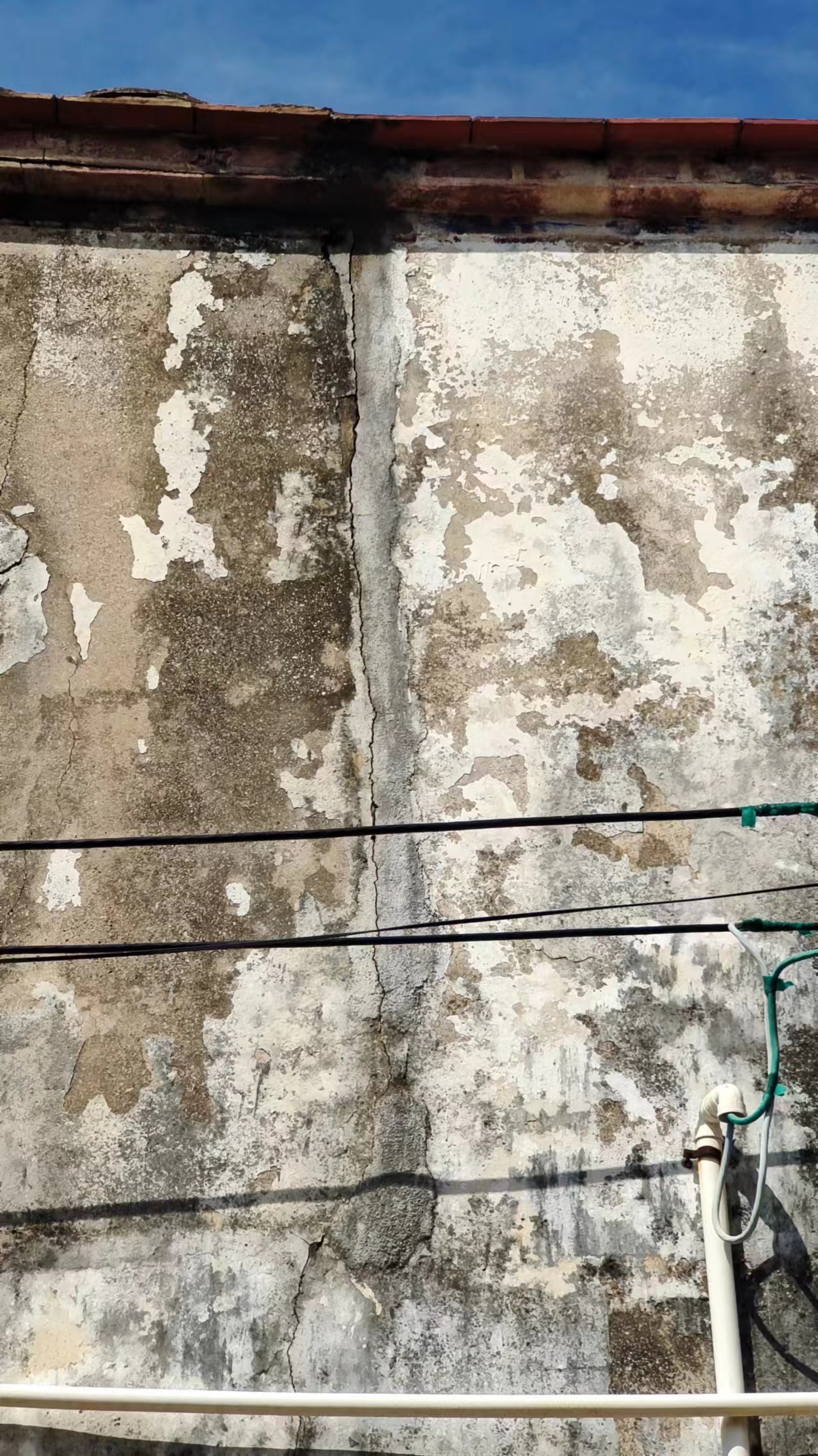 福建省福州市福清市委书记-领导留言板-人民网